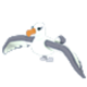 Albatross Adopt Me value
