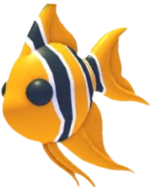 Angelfish Adopt Me value