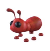 Ant Adopt Me value
