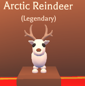 Arctic Reindeer Adopt Me value