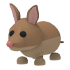 Bandicoot Adopt Me value