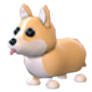 Corgi Adopt Me value