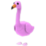 Flamingo Adopt Me value