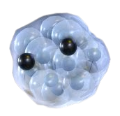 Frogspawn Adopt Me value
