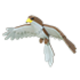 Hawk Adopt Me value