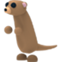 Meerkat Adopt Me value
