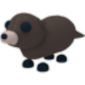 Otter Adopt Me value