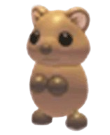 Quokka Adopt Me value