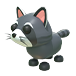 Raccoon Adopt Me value