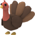 Turkey Adopt Me value