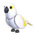 White Amazon Adopt Me value
